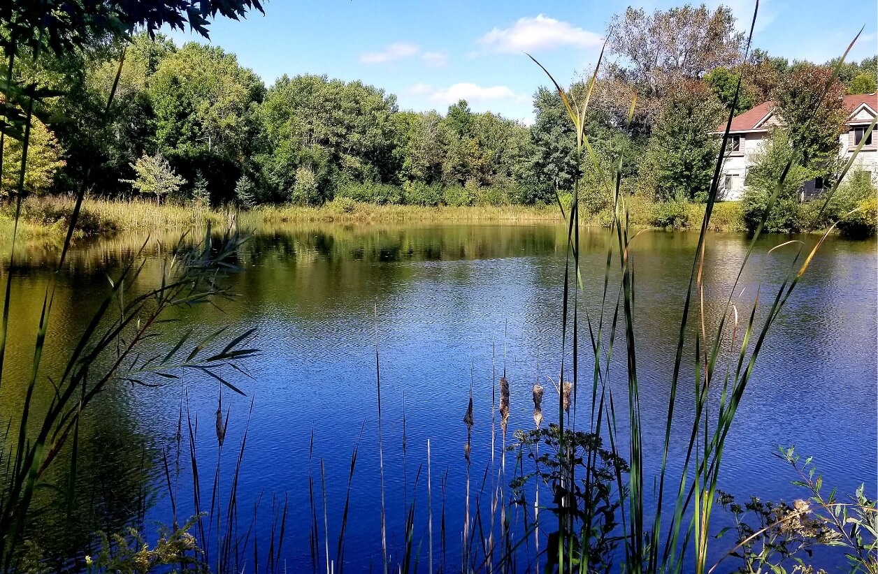 Image of a blue lake